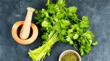 garnishing-instructions-image